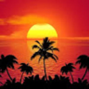 Meet your Posher, Jamyee